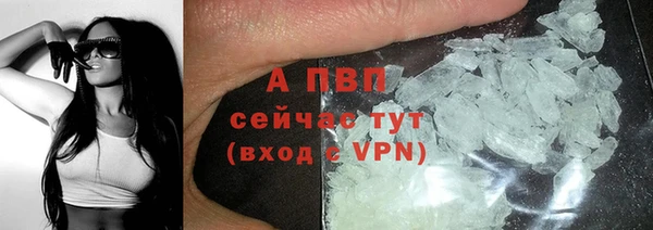 СК Дмитров