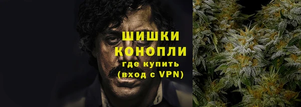 ГАЛЛЮЦИНОГЕННЫЕ ГРИБЫ Дмитриев