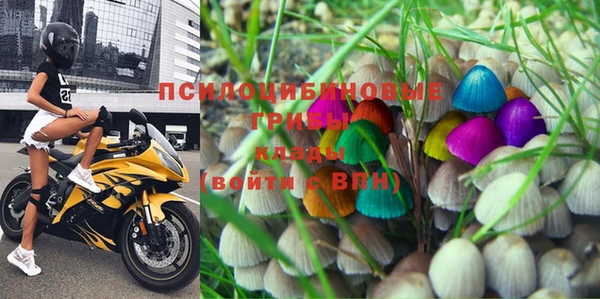 ГАЛЛЮЦИНОГЕННЫЕ ГРИБЫ Дмитриев
