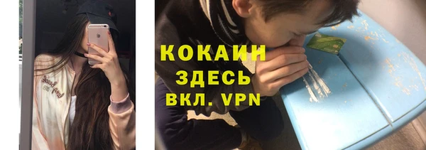 СК Дмитров
