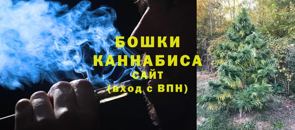 ECSTASY Дмитровск