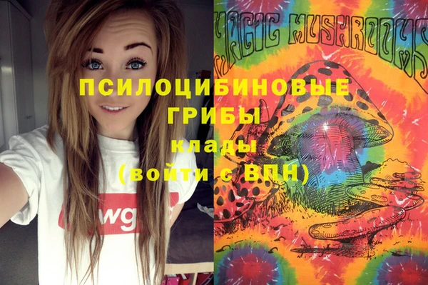 ГАЛЛЮЦИНОГЕННЫЕ ГРИБЫ Дмитриев