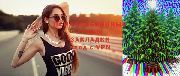 ECSTASY Дмитровск