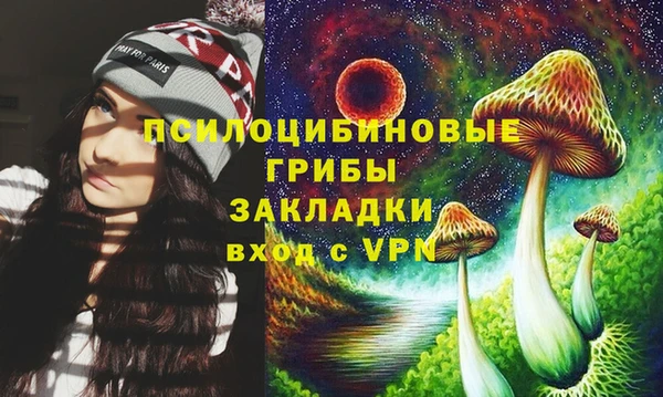 СК Дмитров