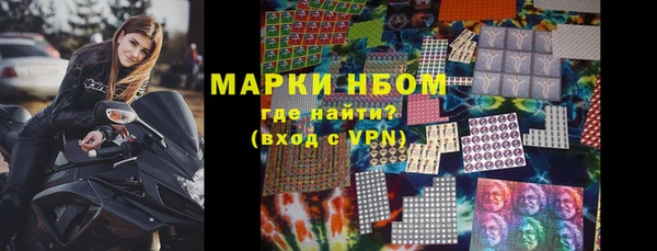 ГАЛЛЮЦИНОГЕННЫЕ ГРИБЫ Дмитриев