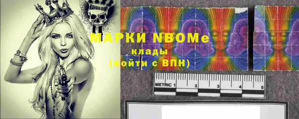 СК Дмитров