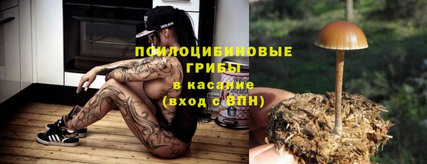 ГАЛЛЮЦИНОГЕННЫЕ ГРИБЫ Дмитриев