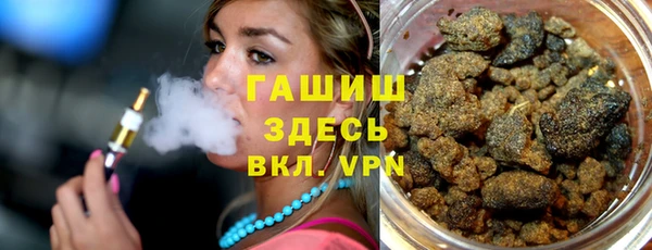 ГАЛЛЮЦИНОГЕННЫЕ ГРИБЫ Дмитриев