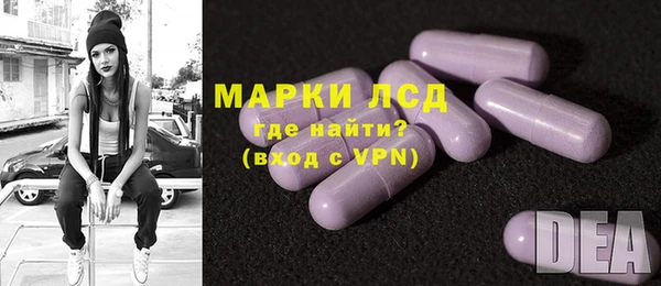 СК Дмитров