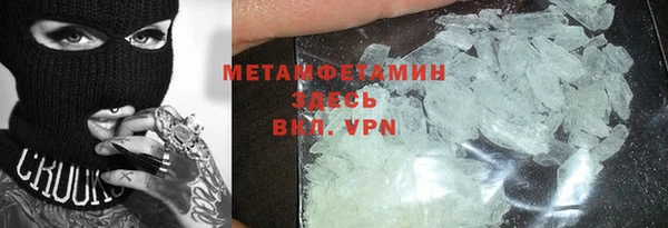 ГАЛЛЮЦИНОГЕННЫЕ ГРИБЫ Дмитриев