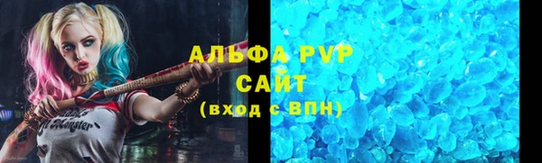 СК Дмитров