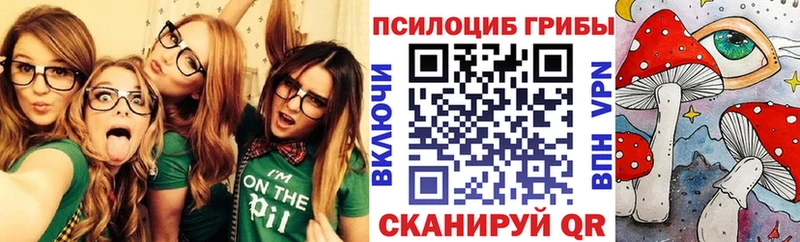 Купить где  Сольвычегодск  Галлюциногенные грибы прущие грибы 